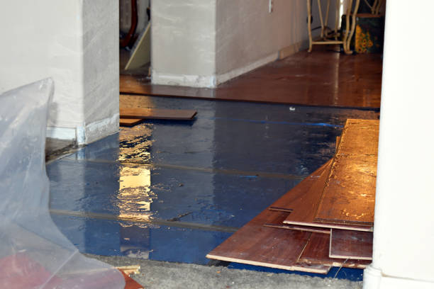 Professional Water Removal technician working in Perry, MI